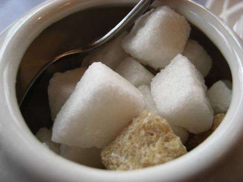 Sweet enough? Separating fact from fiction in the sugar debate