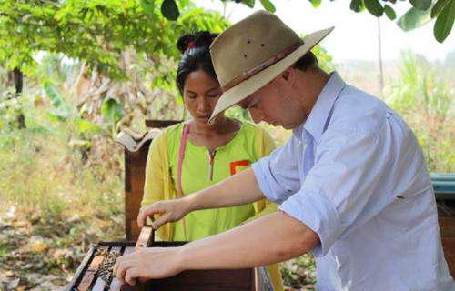 Sydney scientists introduce Plan Bee to South East Asia