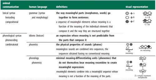 syntax and phonology