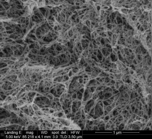 Synthetic collagen promotes natural clotting