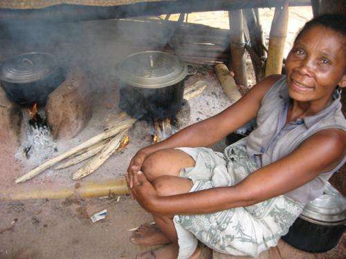 Tailored approach key to cookstove uptake
