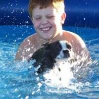 Take care of man's best friend around the pool