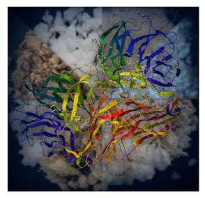 Targeted strategies improve efficacy of enzymes to convert biomass to biofuels