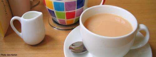 Tea and citrus products could lower ovarian cancer risk