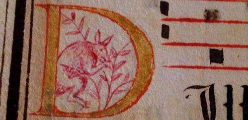 That's no kangaroo on the manuscript – so what is it?