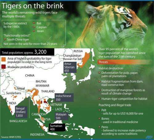 The 13 countries with wild tiger populations have agreed to double their numbers by 2022