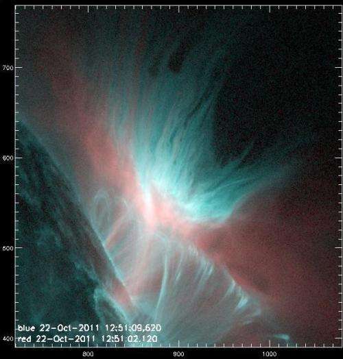 The dark fingers of the solar atmosphere