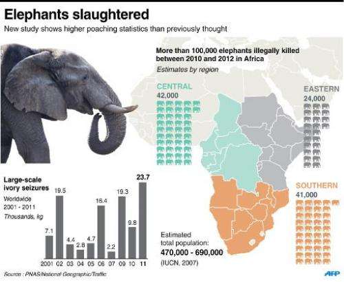 The environmental group WWF estimated that around 25,000 African elephants were hunted for ivory in 2011, predicting the toll to