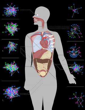 The first food web inside humans suggests potential new treatments for infection