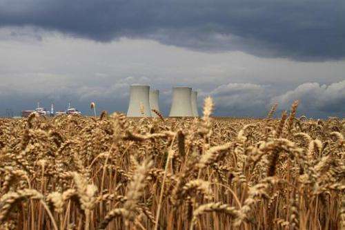 The four cooling towers of Temelin Nuclear Power Plant are seen in the background of a grain field in the village of Temelin on 