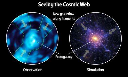 The intergalactic medium unveiled: Caltech's Cosmic Web Imager