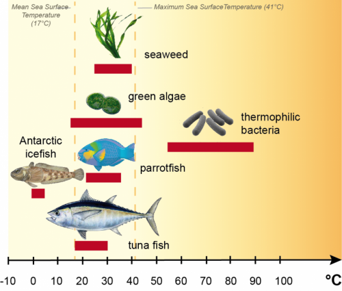 The key to adaptation limits of ocean dwellers