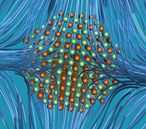 The motion of the medium matters for self-assembling particles, Penn research shows