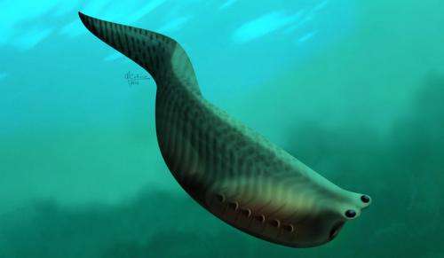 The oldest fish in the world lived 500 million years ago