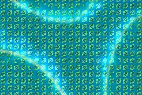 Theorists find a new way to improve efficiency of solar cells by overcoming exciton 'traps'
