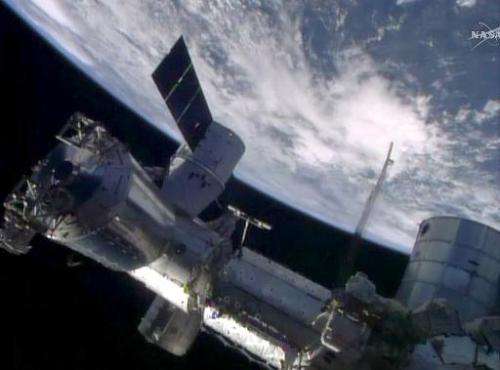The SpaceX Dragon cargo craft is seen berthed to the Earth-facing port of the International Space Station's Harmony node, on Apr