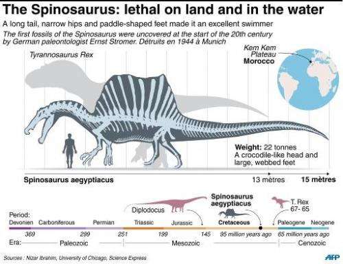 The spinosaurus: lethal on land and in the water