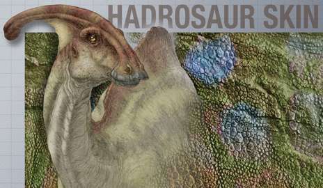 Thick-skinned dinosaur gets the last laugh