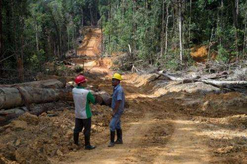 Timber workers chat along a dirt road in the forests in Berau, East Kalimantan, November 13, 2013
