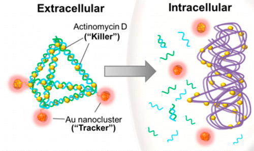 Tiny DNA pyramids enter bacteria easily -- and deliver a deadly payload