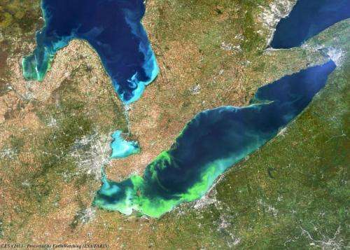 Top weather conditions that amplify Lake Erie algal blooms revealed