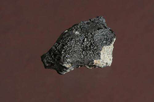 Traces of possible Martian biological activity inside a meteorite