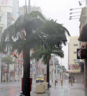 Trees sway in strong wind caused by Typhoon Vongfong in Naha, Japan's Okinawa island on October 11, 2014