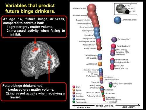 Who will binge-drink at age 16? European teen imaging study pinpoints predictors
