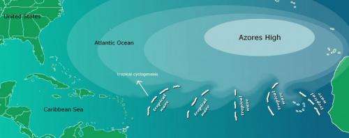 Tropical waves