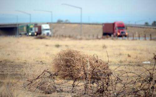 Tumbleweed rolls across a dried out landscape in central California's Kern County as trucks head south toward the Grapevine to b