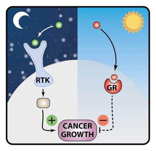 Tumors might grow faster at night: Hormone that keeps us alert also suppresses the spread of cancer