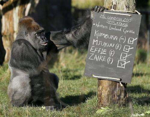 Two by two: London Zoo counts its many inhabitants