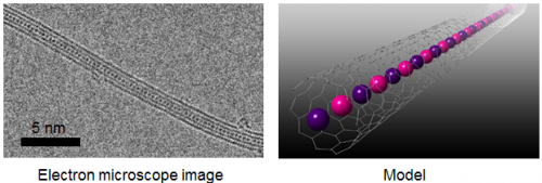 Two-element atomic chain synthesized using microscopic space inside a carbon nanotube