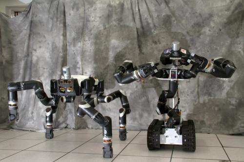 Two Robots, One Challenge, Endless Possibility