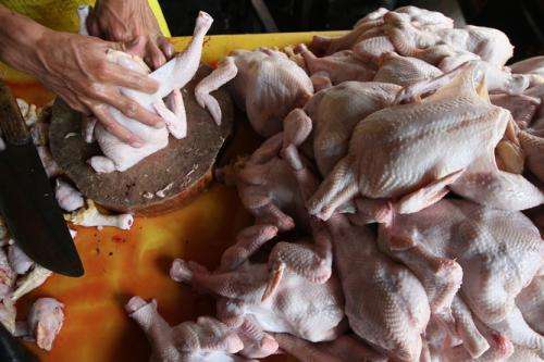 Two-thirds of chicken is contaminated – and demand for cheap food is to blame