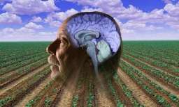 UCLA researchers uncover how pesticides increase risk for Parkinson's disease