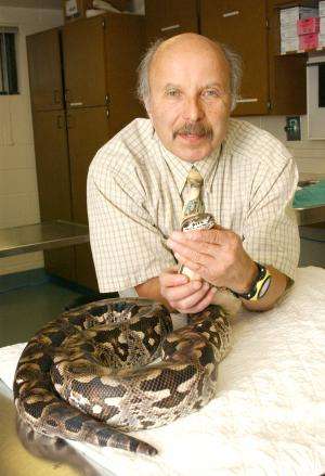 UF researchers develop blood test for devastating disease of boas and pythons
