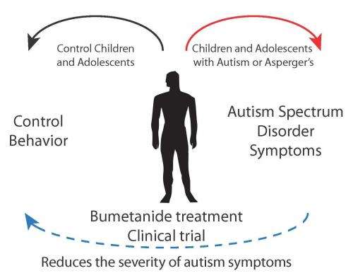 Autism: Birth hormone may control the expression of the syndrome in animals