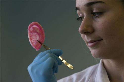 UK scientists make body parts in lab