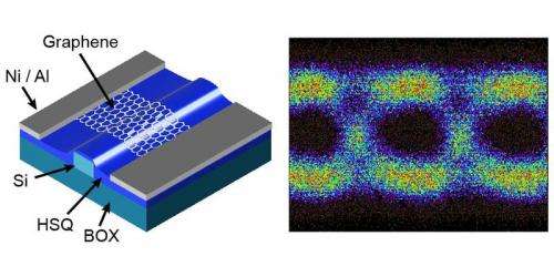 Ultrafast Graphene based photodetectors with data rates up to 50 GBit/s