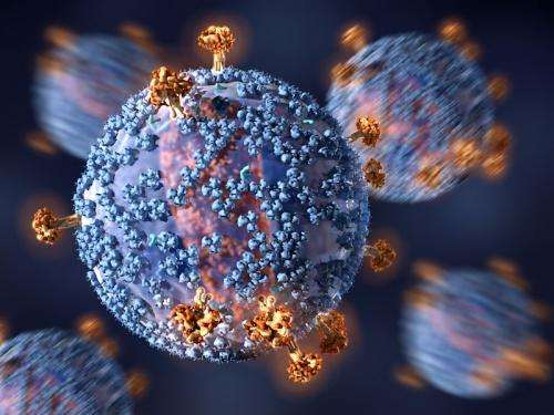 Scientists show AIDS vaccine could work against changeable site on HIV