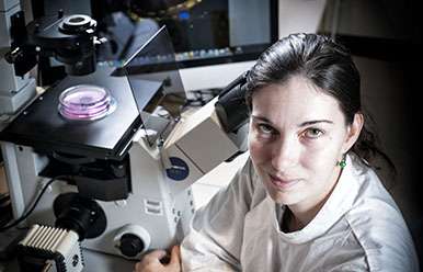 Unlocking the potential of stem cells to repair brain damage