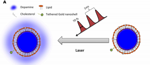 Using femtosecond lasers to administer drugs
