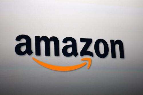 US tech giant Amazon said Thursday it returned to profit in 2013 on a strong jump in revenue, as it expanded offerings for Kindl
