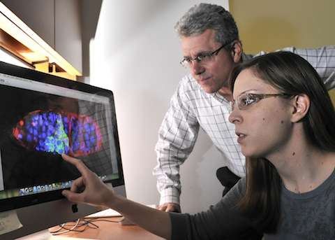 UT Southwestern cancer biologists link tumor suppressor gene to stem cells