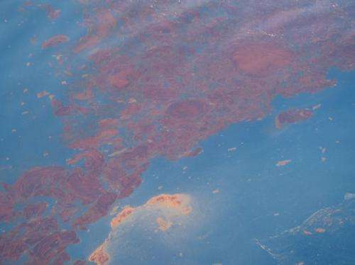 Researchers examine fate of methane following the Deepwater Horizon spill
