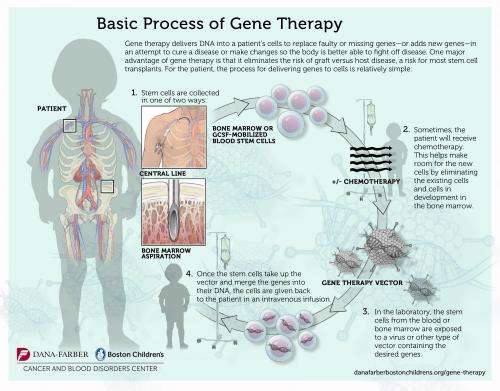 New gene therapy for 'bubble boy' disease appears effective, safe