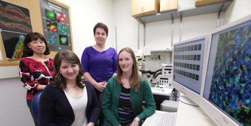 Vanderbilt diabetes researchers track cells' ability to regenerate
