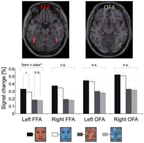 Brain regions sensitive to facial color processing