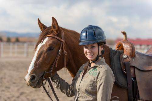Veterinarians advise ways to avoid infection while traveling with horses